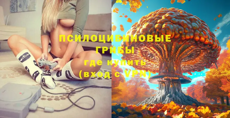 наркотики  гидра ССЫЛКА  Галлюциногенные грибы Magic Shrooms  Чебоксары 